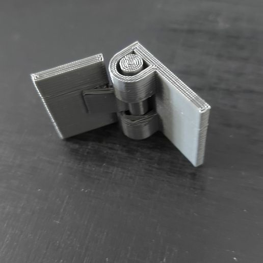 20231110_103636.jpg Print-in-Place hinge