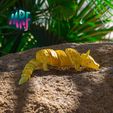 06.jpg Articulated Armadillo