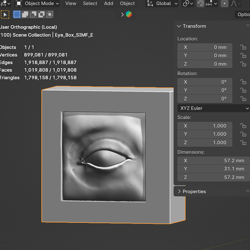 ♀️ Female Eye Box Halloween Ornament / Spit In My Face Cover Box ...