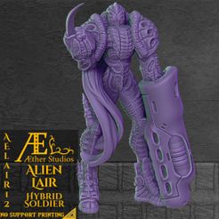 resize-15.jpg 3D file AELAIR12 - Hybrid Soldier・3D print design to download