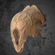 Image05.jpg FERAL PREDATOR skull helmet from the movie Prey
