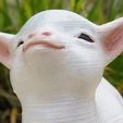 smug-cover.jpg Smug goat