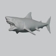 Matcap.png Great White Shark