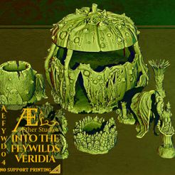 resize-38.jpg AEFYWD04 - Dans les Feywilds : Veridia
