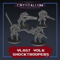 Vlast-Volk-Shocktroopers.jpg STL file Vlast Volk Shocktroopers・3D print design to download