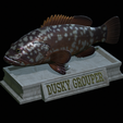 Dusky-grouper-20.png fish dusky grouper / Epinephelus marginatus statue detailed texture for 3d printing