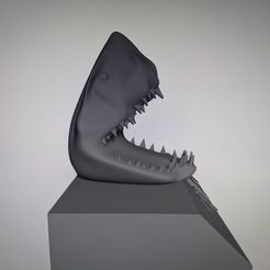 IMG_20190316_111125.jpg Fichier 3D Requin 3d・Modèle pour imprimante 3D à télécharger