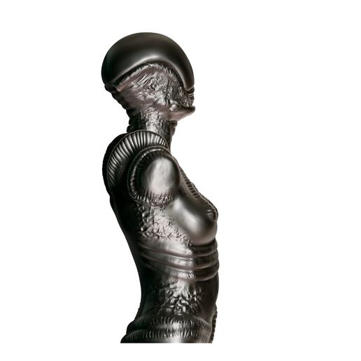 ZBrush-Document5.jpg Giger Weibliche Büste