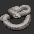 hognose-snakes10.jpg Hognose snakes 3D print model