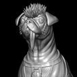 ZGrab11.jpg DOGPOOL