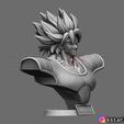 07.jpg Broly Bust - from Broly Movie 2019