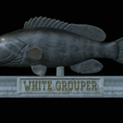 White-grouper-open-mouth-statue-23.png fish white grouper / Epinephelus aeneus open mouth statue detailed texture for 3d printing