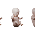 Ninth_Month_Render_01.png Month 9 Human embryonic (baby stages)