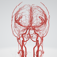 artery,-cerebrovascular,-brain,-face,-hemisphere,-willis,-dental,-neck,-vein,-head,-cerebellum,-vasc.png 3D 头颈部血管解剖图 - 动脉、静脉和脑血管系统