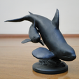 004.png Orca and Calf