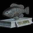 White-grouper-statue-5.png fish white grouper / Epinephelus aeneus statue detailed texture for 3d printing