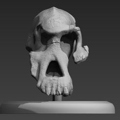 BPR_Composite_Front.jpg STL file Lucy Skull High Poly Sculpt On Pedestal・3D printable model to download, FrostyDog