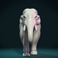 Asn_Elephant-03.png Asian Elephant II