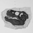Anotación 2020-07-09 234923.jpg skull fossil t-rex