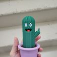 20230927_080919.jpg Potted Ghost Cactus - middle finger