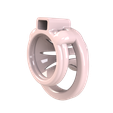 pic1.png Flat / Inverted chastity cage