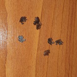 Icônes des coussins courbés du Wolf Pack