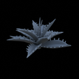 Terrain_Plant_Agave_01.png AGAVEPLANTS FOR TERRAIN DIORAMA TABLETOP 1/35