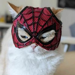 SPIDER CAT PETER PARKER - Mask