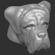 14.jpg English Mastiff head for 3D printing