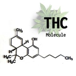 THCtext.jpg Free STL file THC Molecule・3D printer design to download