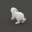Rabbit_1.3.jpg Rabbit Walking
