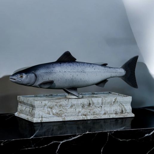 Atlantic-salmon-statue-fish-trophy-box.jpg fish sculpture of a Atlantic salmon / salmo salar with storage space / for 3d printing