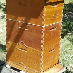 hivefeetinsitu.jpg Ant barrier for beehive