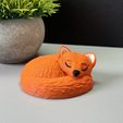 IMG_2815.jpg Sleeping Fox