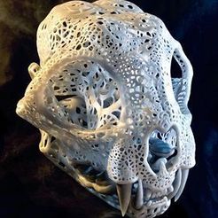 preview1.jpg Fichier 3D Filigree Anatomical Bobcat Skull・Objet imprimable en 3D à télécharger
