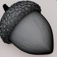 04.jpg Acorn Nut