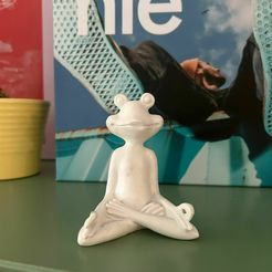 WhatsApp-Image-2023-11-21-at-13.16.37.jpeg Yoga Frog / Yoga Frog