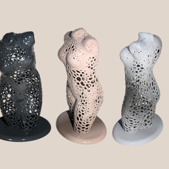 female-v4.png Weiblicher Torso (Voronoi)