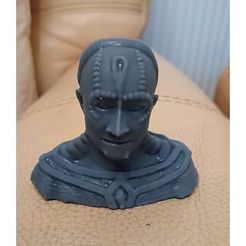 card.JPG Free STL file Cardassian bust・Model to download and 3D print