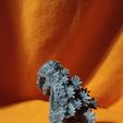 IMG_20230308_003301.jpg Shin Godzilla Anatomy Cut Away Model Bust Sculpture