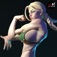 CAMMY_A030.jpg CAMMY CHARACTER BY ESM street fighter