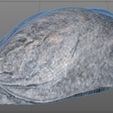 dirty-sack-3d-model-low-poly-obj-fbx-blend-1.jpg Leaf Sack 3D Model