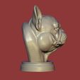 4.jpg Exotic French Bulldog Bust