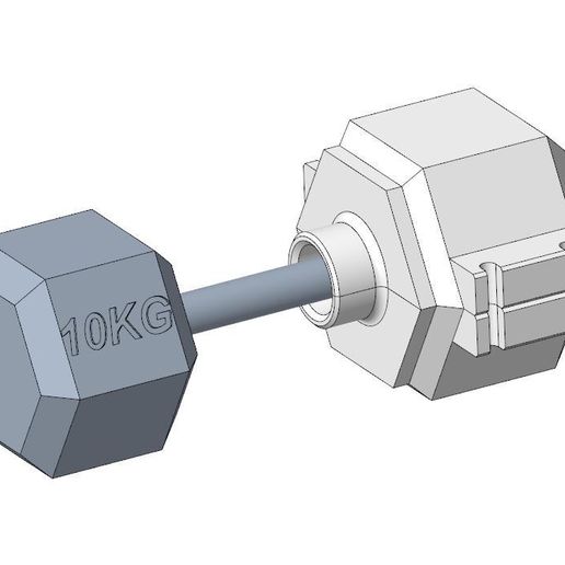 🌳 Molde mancuernas cemento 10kg Gimnasio・Archivo STL para