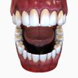 View3.jpg Mouth