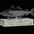 coalfish-statue-box-1.png fish coalfish / Pollachius virens with storage space / for 3d printing