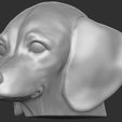 13.jpg Puppy of Dachshund dog head for 3D printing