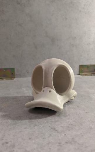 IMG_20200620_110534_649.jpg DONALD DUCK SCHÄDEL