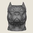 Pit-Bull-Dog-Face-Vase-03.jpg Vaso com cara de cão Pit Bull Modelo 3D pronto para impressão