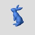 lapin 2.JPG rabbit